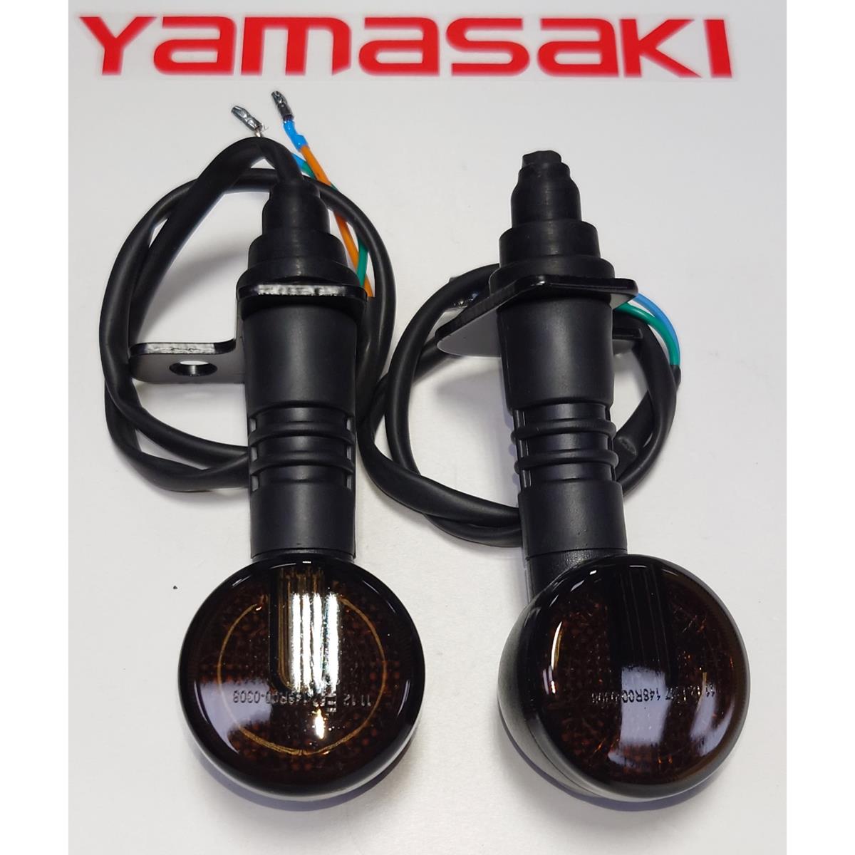 F60 Rear Indicators With Mounts Pair