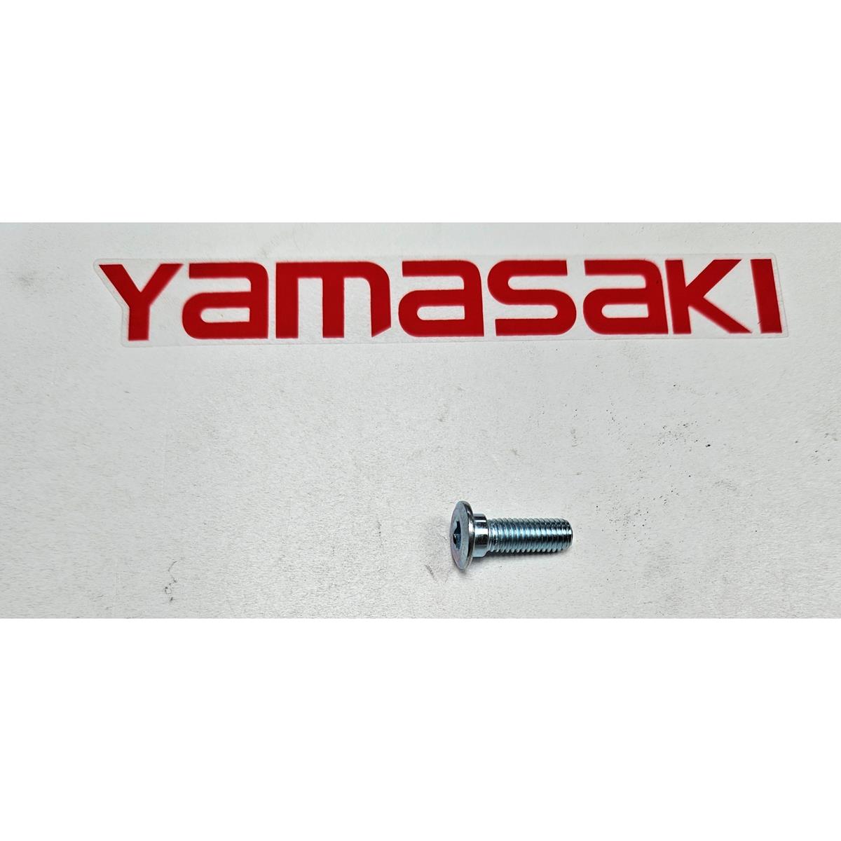 YM50 Disk Bolts x 5