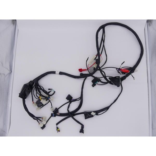 2023 - on Yamimoto TY50 - QT - 29E JOKER 2 Wiring Harness Loom